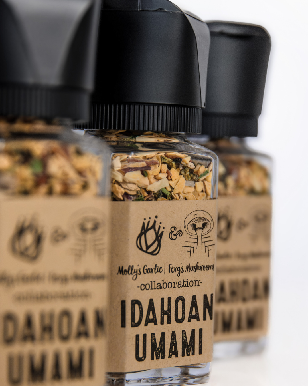 Idahoan Umami Seasoning