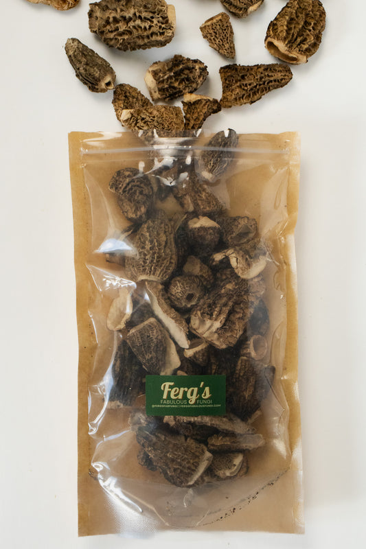 Dried Mushrooms - Morels