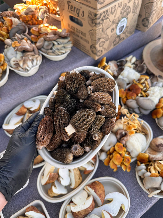 It's Morel Season — So Why Are We Talking About Dried? Fresh is fleeting. Dried is forever. Here's how to have it both ways.