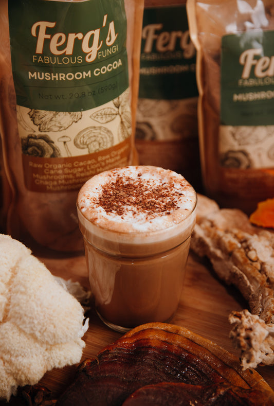 Functional Mushroom Mocha Recipe: Mushroom Cocoa and Coffee at Home