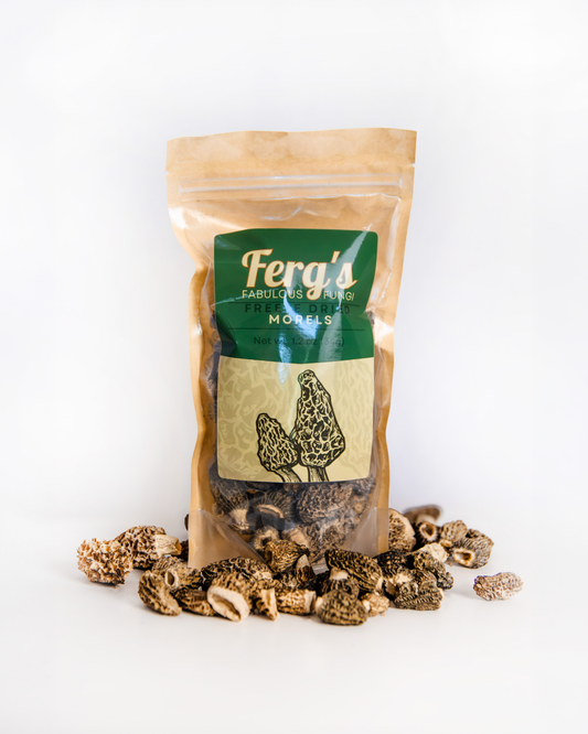 Dried Mushrooms - Morels