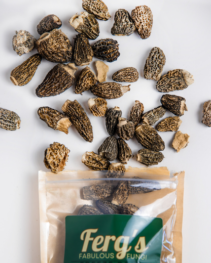 Dried Mushrooms - Morels