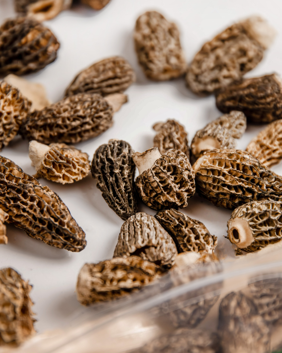 Dried Mushrooms - Morels