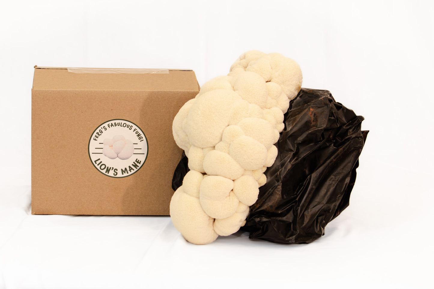 Grow Kit - Lion's Mane